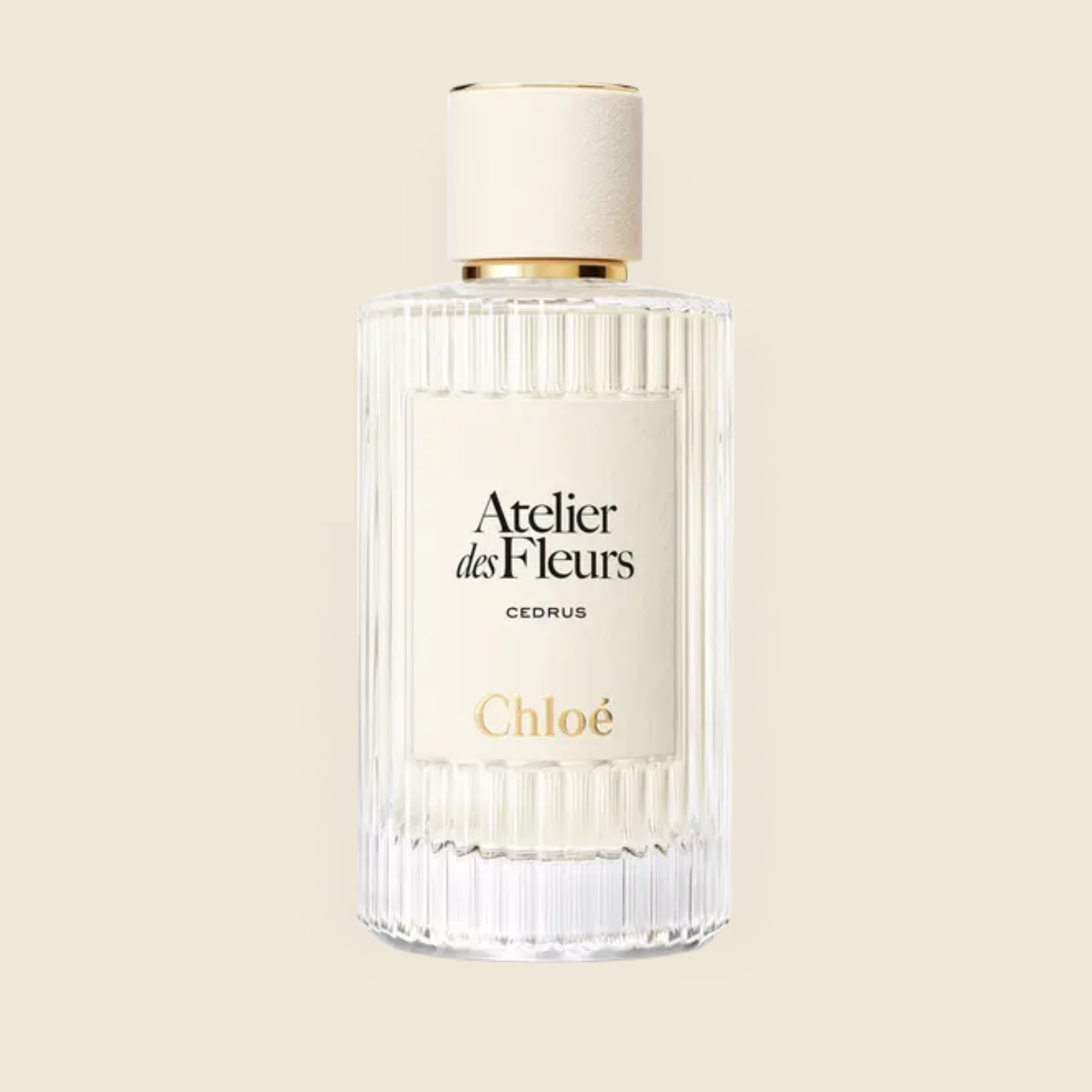 Cedrus, Ateliers des Fleurs, Chloé